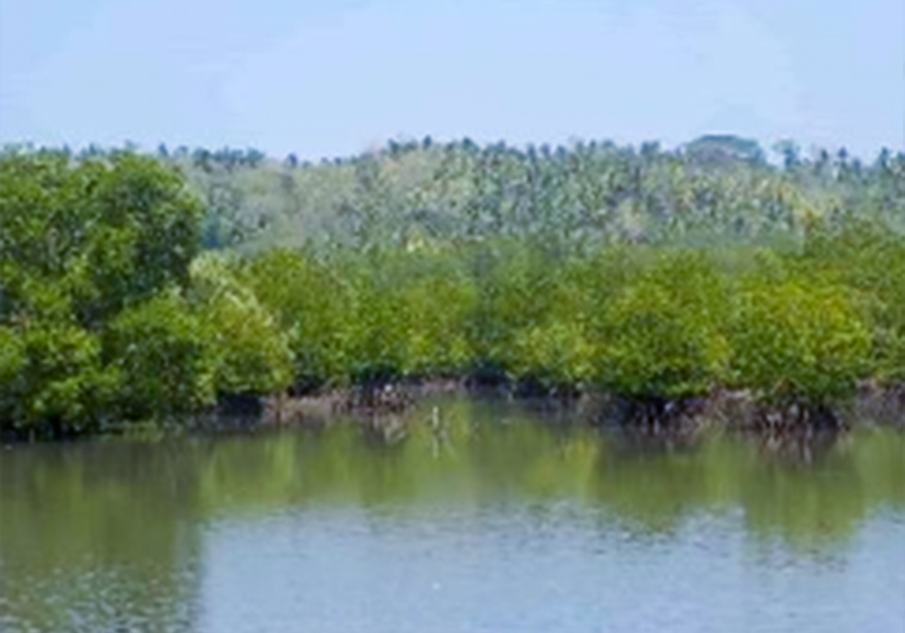 TANAH DI KAB. BULUKUMBA - WOFF793-2 - foto 5